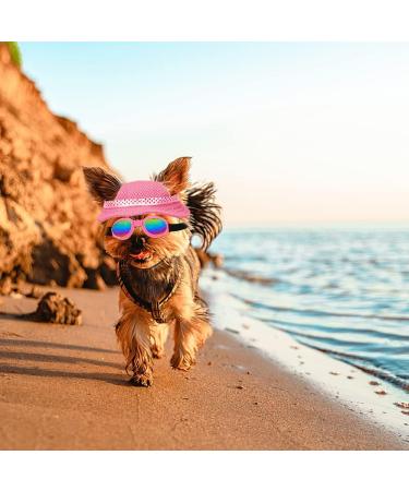 Sebaoyu Dog Hat and Sunglasses Set - Pink#2 Small | Summer Pet Baseball Cap with Visor and Goggles for Small Medium Breed - Buy Online on GoSupps.com