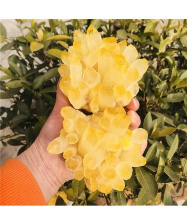 Home Decoration 500-600g Phantom Quartz Crystal Cluster 1pc s Home Collections - Buy Online on GoSupps.com