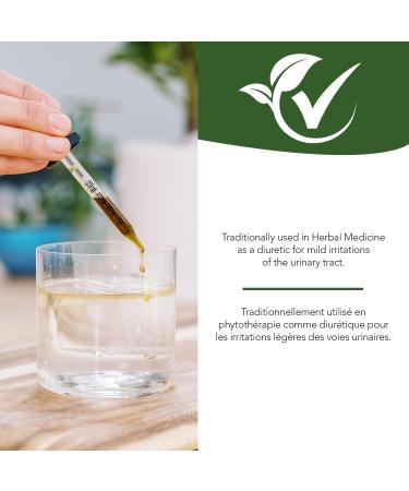 St Francis Herb Farm - Horsetail (Equisetum arvense tops) Herbal Tincture Extract - Horsetail is traditionally used in Herbal Medicine as a diuretic for mild irritations of the urinary tract - 50 ml - Buy Online on GoSupps.com