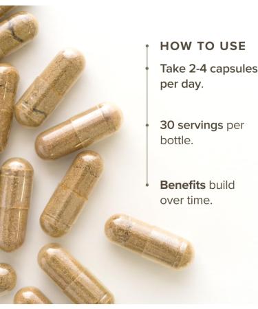 Turkey Tail Mushroom Capsules by Bloomable I Gut Health and Immunity (120 capsules) 120 count (Pack of 1) - Buy Online on GoSupps.com