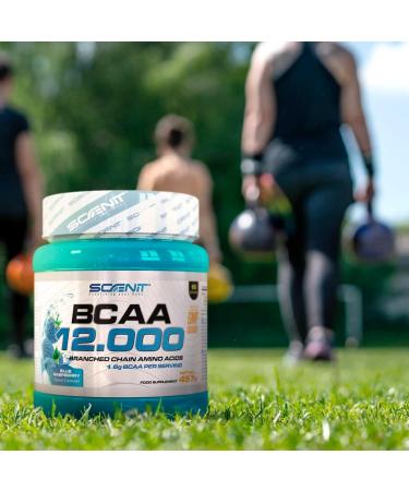 BCAA Powder - BCAA 12-457g - BCAA - BCAA 2.1.1 - BCAA Powder - Amino Acid - Amino Acid - Amino Acids - Leucine Valine Isoleucine - Amino Acids (Blue raspberry) - Buy Online on GoSupps.com