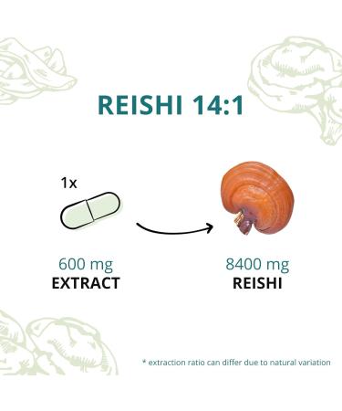 Organic Reishi Extract Vegavero | 8400mg | Ganoderma Lucidum with Polysaccharides & Beta Glucans | Mushroom Extract Powder | 90 Capsules - Buy Online on GoSupps.com