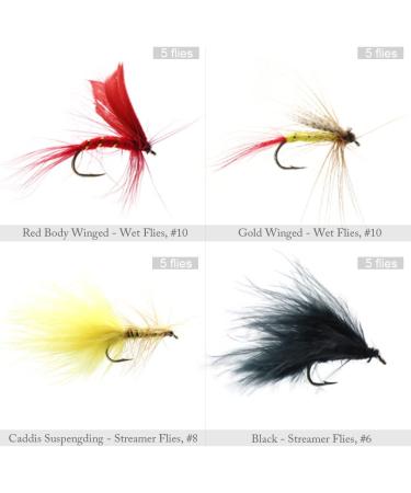 120pcs Croch Dry/Wet Flies Box Set for Bass, Salmon, Trout Fishing - Assorted Designs in Waterproof Box - Buy Online on GoSupps.com
