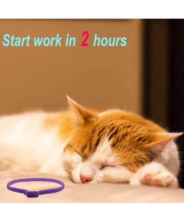 Pets4LUV 2 Pack Cat Pheromone Stress Relief - Adjustable Waterproof 100% Natural Purple - Buy Online on GoSupps.com