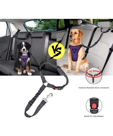Corooci Dog Seat Belt 2 Pack Pet Car Headrest Restraint Adjustable Puppy Seatbelt Car Seats Seat-Belt (Black) - Buy Online on GoSupps.com