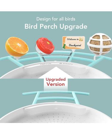 Netvue Multifunction Bird House Stand & Feeder | Versatile Bird Feeding Station for Wild Birds - Ideal for Potions Fruits & Vegetables - Buy Online on GoSupps.com