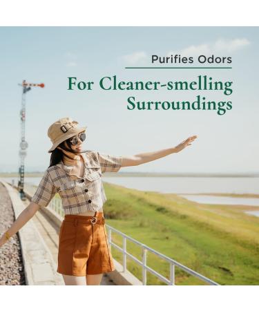 Gya Labs Purify Essential Oil Roll-On - Fresh Cleansing Scent 10ml (Pack of 1) - Buy Online on GoSupps.com