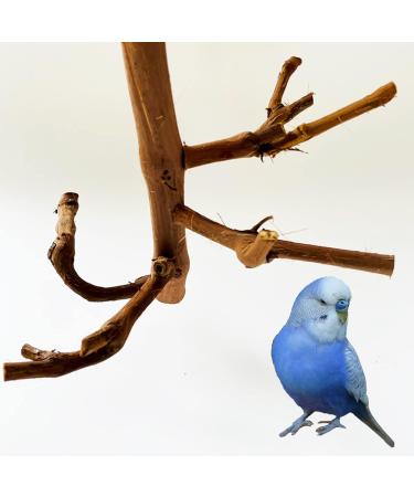 Allazone Natural Wood Bird Accessories - Parrots Climbing Bars & Grape Branches for Bird Cages - Buy Online on GoSupps.com