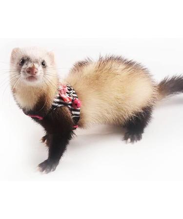 CHIPKART Small Pet Harness with Bowknot and Bell Decor No Pulling Comfort Vest Guinea Pig Harness and Leash Set for Ferret Rats Iguana Hamster(Black) - Buy Online on GoSupps.com