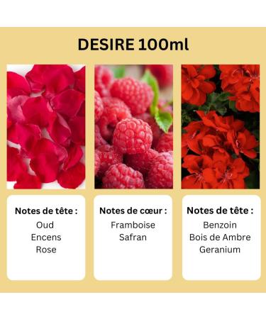 Eau de Parfum FEELINGS 100ml Ayat Perfumes - Made in Dubai With Notes of Rose Vanilla Oud Musk and Woody - EDP Oriental Perfect For Women And Men (Desire) - Buy Online on GoSupps.com