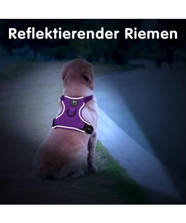 POPOTET Soft Breathable Mesh Dog Harness - Adjustable Double Padded Vest - Suffocation-Free - Violet Medium (1 Pack) - Buy Online on GoSupps.com