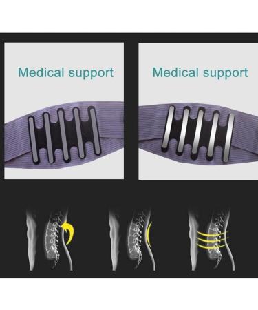 Back Brace Lumbar Support Breathable Lower Back Spine Decompression Waist Trainer Belt For Men And Women Waist Belt(X-Large) X-Large Black - Buy Online on GoSupps.com