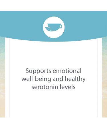 Natural Factors Stress-Relax 5-HTP 100mg | 60 Enteric Coated Caplets for Mood Support - Buy Online on GoSupps.com
