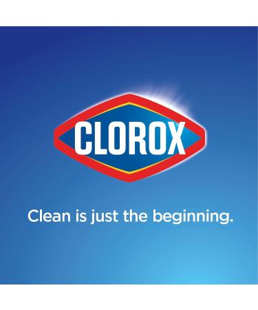 Clorox Toilet Bowl Cleaner with Bleach - Fresh Breeze Scent 24 oz | International Shipping Available - Buy Online on GoSupps.com