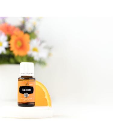 Buy Young Living Tangerine Essential Oil 15ml - 100% Pure & Organic Citrus Aroma for Aromatherapy & Massage - Buy Online on GoSupps.com