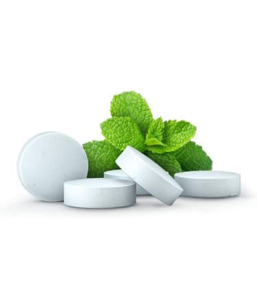 Buy The Humble Co. Fluoride Toothbrush Tablets - Fresh Mint 120 Pieces | Eco-Friendly Vegan Dentist Recommended Sugar-Free Prevents Bad Breath & Plaque - Buy Online on GoSupps.com