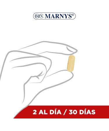 MARNYS MACAMAR BIO 60cap is a capsule formula designed for regular use It is especially useful for those looking for an easytouse form The package contains 60 capsules making it suitable for - Buy Online on GoSupps.com
