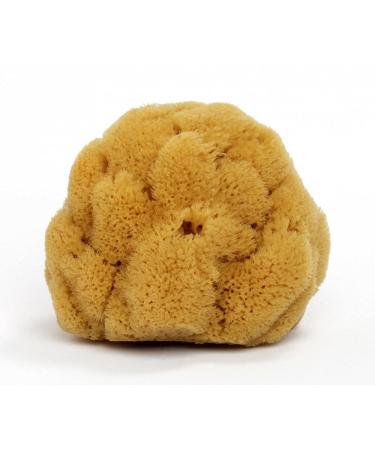 Natural sea sponge approx. 12cm - natural sponge bath sponge