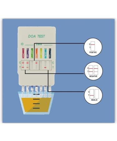7-in-1 Main Street Drug Testing Kit for Urine - Home Drug Test - Buy Online on GoSupps.com