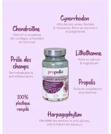 PROPOLIA - Joint comfort - Joints - Mobility - Cartilage & Bones - Propolis Rose hips & Harpagophytum - Food supplement- Made in France - 90 capsules - 1 month - Buy Online on GoSupps.com
