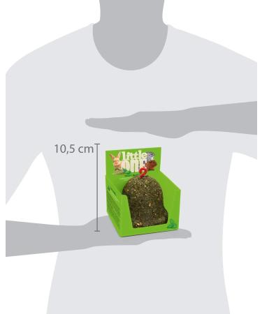 Little One Snack Tasty Bell in a Box - Parsley 150g | International Shipping Available - Buy Online on GoSupps.com