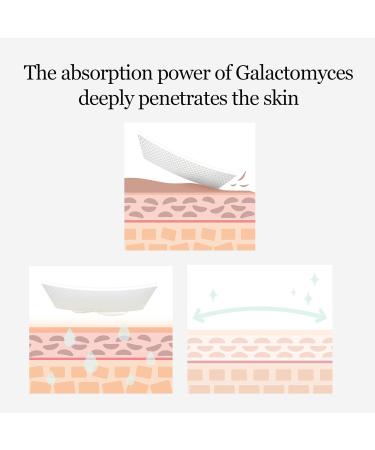mixsoon Galactomyces Toner Pad - Fermented Nutrition Dual-Textured Pads for Radiant Skin (280ml/60 Sheets - Buy Online on GoSupps.com