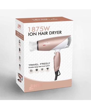 Foldable Travel Hair Dryer - Dual Voltage Lightweight Ionic Blow Dryer (Gold) for International Use - Buy Online on GoSupps.com
