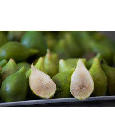 LOSTIVALE Mela Pera Winter Design Glass 220 g Hammered Orange - Buy Online on GoSupps.com