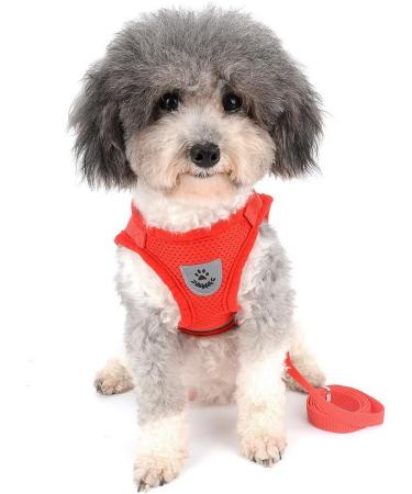 Zunea No Pull Dog Harness for Small Dog Reflective Breathable Soft Mesh Padded Step-in Vest Harness Leash Set Puppy Girl Dog Cat Lead for Daily Walking Running Training - (Red S) S (Pack of 1) red - Buy Online on GoSupps.com