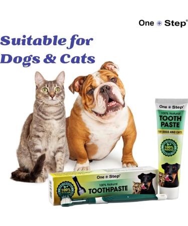 Natural Toothpaste & Toothbrush for Pets | Allergen-Free Dental Care | 100g Tube, Peppermint Flavor - Buy Online on GoSupps.com