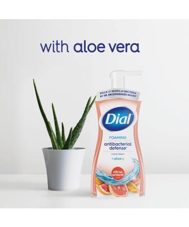 Dial Antibacterial Foaming Hand Wash - Citrus Sunburst 7.5 fl oz | Shop Internationally - Buy Online on GoSupps.com