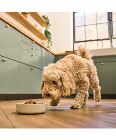 Lily s Kitchen Made with Natural Ingredients Adult Dry Dog Food Beef Stew with Ancient Grains 1kg Bag Beef 1 kg (Pack of 1) - Buy Online on GoSupps.com