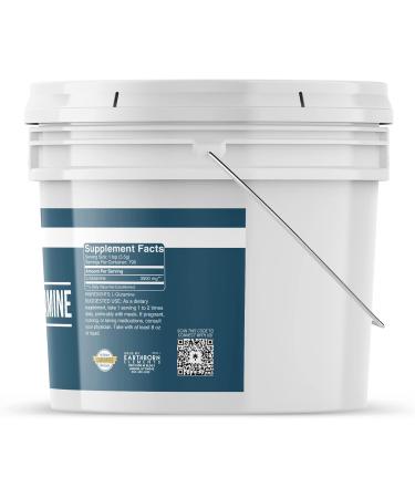 Earthborn Elements L-Glutamine 1 Gallon Bucket Pure & Undiluted Dietary Supplement 6.1 Pound (Pack of 1) - Buy Online on GoSupps.com