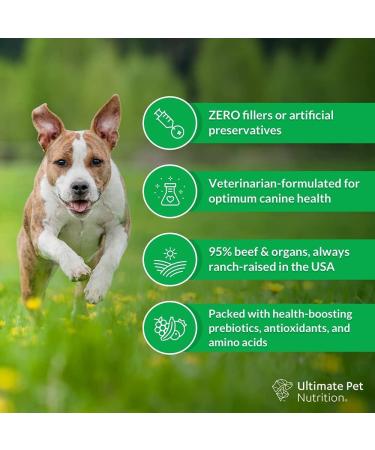 Ultimate Pet Nutrition Nutra Complete Raw Dog Food - Beef 1lb | Veterinarian Formulated with Antioxidants, Prebiotics, Amino Acids - Buy Online on GoSupps.com
