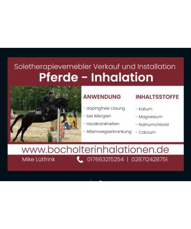 Buy Generic 10 Liters Dead Sea Salt Brine 5% - Premium Quality from the Dead Sea | International Shipping Available - Buy Online on GoSupps.com