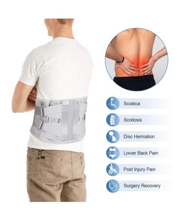 Back Support Belt for Men & Women | Posture Correction & Muscle Relief | ckbandlag Support Struts (L) - International Shipping Available - Buy Online on GoSupps.com