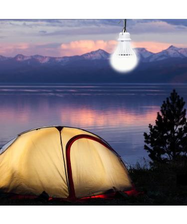 VTpower USB LED Light Bulb Camping Latern Outdoor Light with Simple Switch  Portable LED Bulb 5V 5W for Garage Warehouse Car Truck Fishing Boat Outdoor Emergency Light White Lamp 2.5m/8.2ft 1 Pack - Buy Online on GoSupps.com