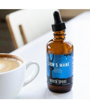 North Spore Organic Lion's Mane Mushroom Tincture (4 oz) | 100% Fruiting Body Extracts | for Focus, Memory, Brain Support | Certified Organic, Vegan, Non-GMO | Adaptogenic, Nootropic | Made in USA 4 Fl Oz (Pack of 1) - Buy Online on GoSupps.com
