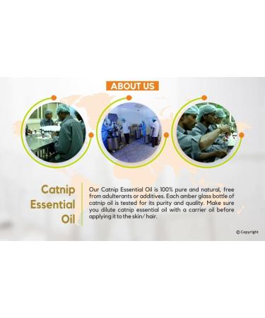 Crysalis Catnip (Nepeta cataria) Oil - 0.51 Fl Oz (15ml) - Buy Online on GoSupps.com