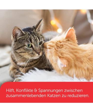 FELIWAY Friends Refill Bottle 48 ml - Buy Online on GoSupps.com