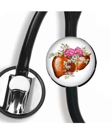 Customized CHNLML Stethoscope Name Tag - Nurse & Doctor ID Tag (Liver Anatomy) | International Shipping Available - Buy Online on GoSupps.com