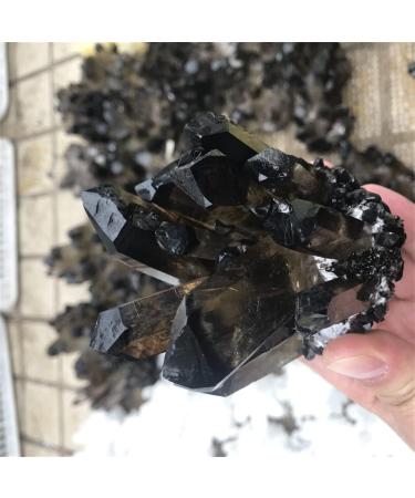 Natural Crystal Rough Crystal Natural Crystal Cluster Amethyst ore Purple Black QuartzStone Original Crystal Home Decoration (Color : Purple Size : 700-800g) 700-800g Purple - Buy Online on GoSupps.com