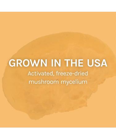 Fungi Perfecti Mesima 60 Veggie Caps - Immune Support & Wellness Supplement - Buy Online on GoSupps.com