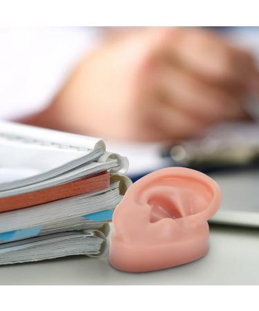 Buy Minkissy Silicone Human Right Ear Model | Fake Ear for Piercing & Acupuncture Simulation | 6.5x3.5 cm - Ideal for Body Part Ads - Buy Online on GoSupps.com