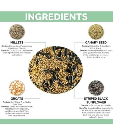 Cockatiel Specific Premium Mix Bird Seed Natural & Healthy Gourmet Choice 1.6KG In 2.4L Resealable Tub - Buy Online on GoSupps.com