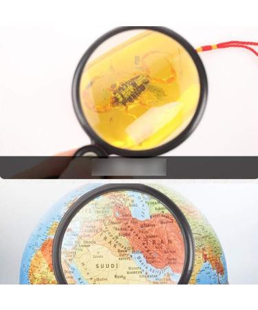 (10X) Folding Handheld Portable Mini Magnifier for Old People Youth Children Reading Newspapers Medicine Bottles Electronics Black 65 * 147mm Made in China - Buy Online on GoSupps.com