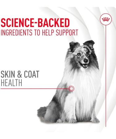 Royal Canin Dog Supplement for Skin & Coat Soft Chews 240g - Buy Online on GoSupps.com
