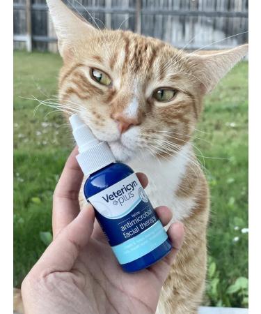 Vetericyn Plus Feline Facial Therapy for Cat Acne, Cuts, Sores & Irritated Eyes/Ears - Non-Toxic & Safe (2 oz) - Buy Online on GoSupps.com