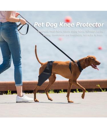 Pet Dog Injury Knee Brace Leg Inflammation Pain Alleviate Leg Support Sheaths for Dogs Outdoor Walking Accessories - Buy Online on GoSupps.com