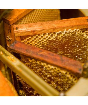 Apiculture - Miel d Agrumes 300g | Brut Non Pasteuris | D Orange Artisanal Italien de Basilicate | Made in Italy Haute Qualit  - Buy Online on GoSupps.com